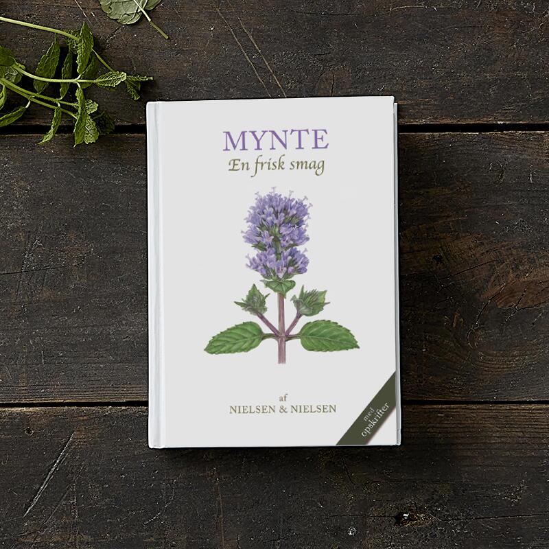 Mynte forside NY 20211631865288.7659.jpg