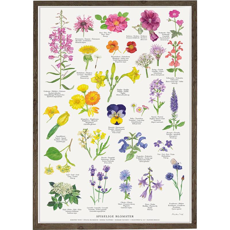 Spiselige blomster med ramme1631028934.4681.jpg