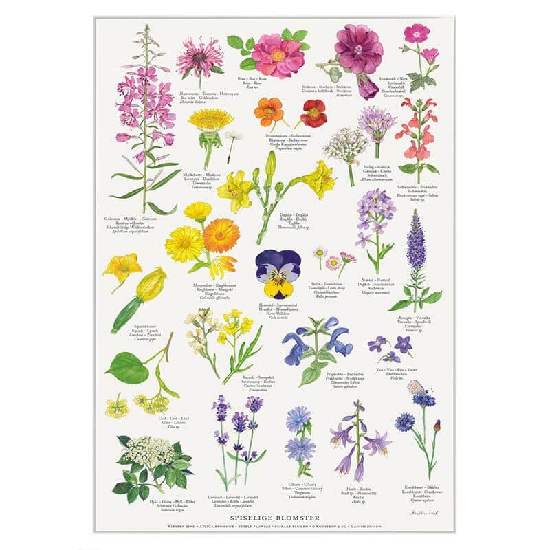 Spiselige blomster1631028934.5807.jpg