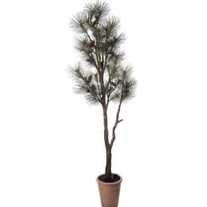 Naturtro fyrretræ – 180 cm